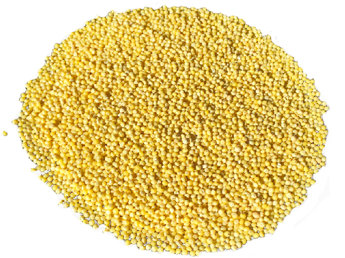 millet in a pile